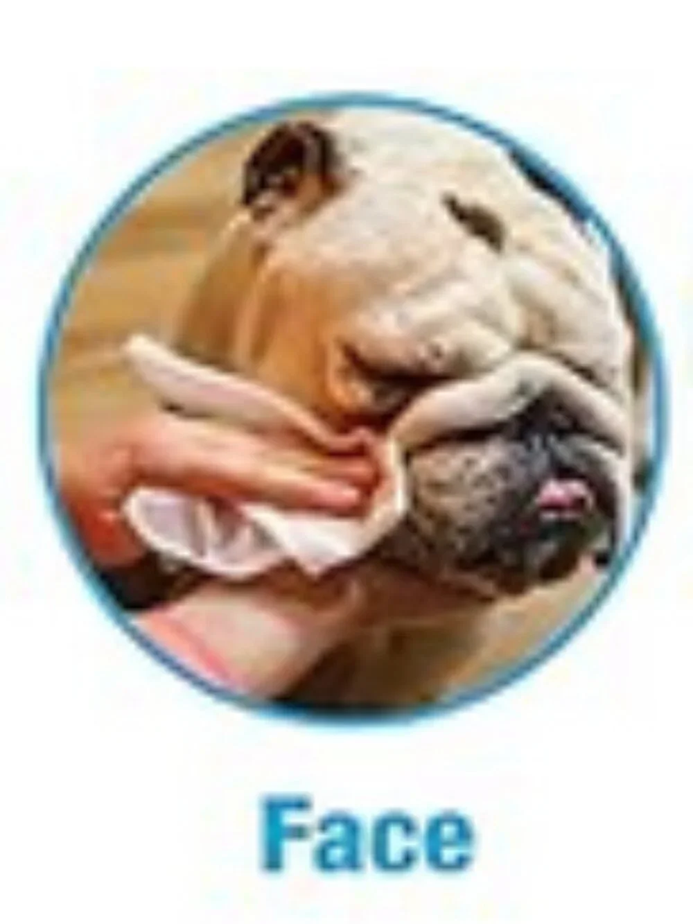 2 NEW packages of Spike & Stella Unscented XL Grooming Wipes,Total of 220 Wipes
